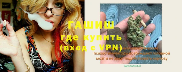 мдпв Осинники