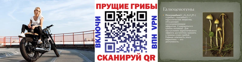 Галлюциногенные грибы ЛСД  Холм 